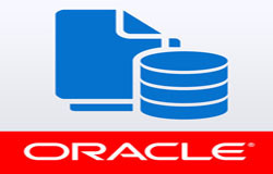 Oracle数据库管理工具有哪些?-北京开云网页版页面登录公司