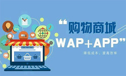 手机商城app开云网页版页面登录流程-北京开云网页版页面登录外包公司