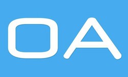 软件外包公司、OA系统开发功能有哪些？费用是多少-开云网页版页面登录公司[北京开云网页版页面登录]