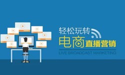 开云网页版页面登录公司、做一个直播系统开云网页版页面登录需要多少钱-北京软件外包公司