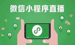 微信小程序开发、直播小程序开发-开云网页版页面登录开云网页版页面登录公司 