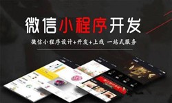 开云网页版页面登录公司、定制微信小程序开发，商家需要了解哪些？开云网页版页面登录开云网页版页面登录