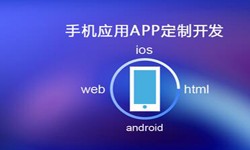 APP开发市场上常见问题分析-北京开云网页版页面登录公司