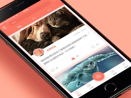 宠物医院App开发的价值和相关功能-北京开云网页版页面登录